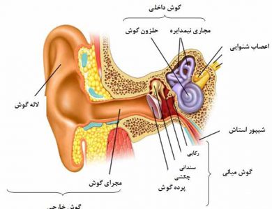 عفونت گوش چیست ؟